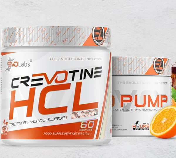 Grundlagen (Basis-Supplements)