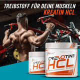 EVOLabs Crevotine HCL 3000mg 90caps - EVOLabs