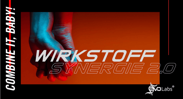 Die Synergie ist ausschlaggebend! - EVOLabs