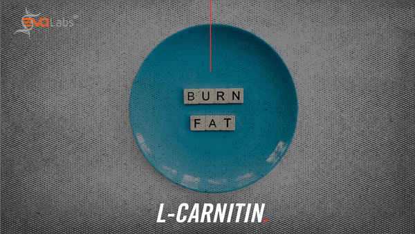 L-Carnitin – und dem Fett geht’s an den Kragen - EVOLabs