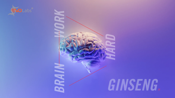 Ginseng – Brainwork is hard work
